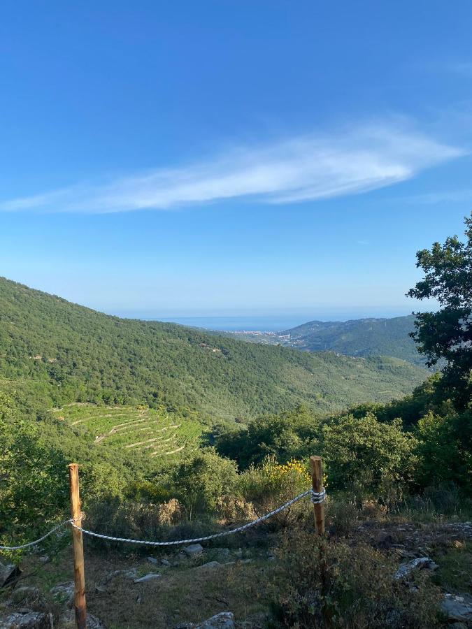 Campo de lujo Starsbox Tendu Chiusanico